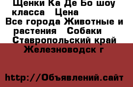 Щенки Ка Де Бо шоу класса › Цена ­ 60 000 - Все города Животные и растения » Собаки   . Ставропольский край,Железноводск г.